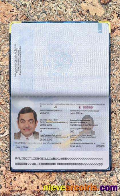 Liechtenstein pass photolook